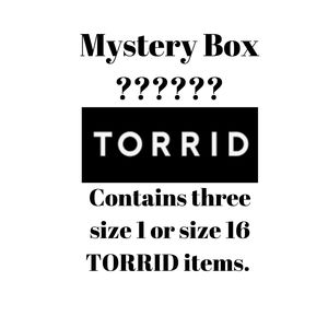 Torrid Mystery Bundle (size 1 and 16)
